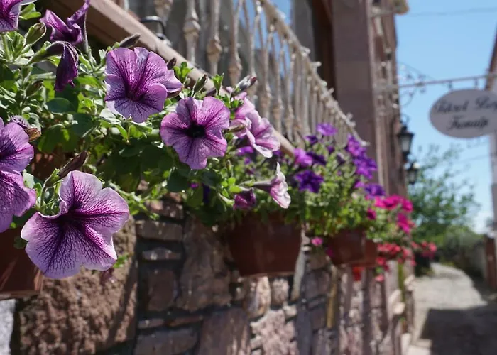 Hotel Fikretbey Konagi 5*