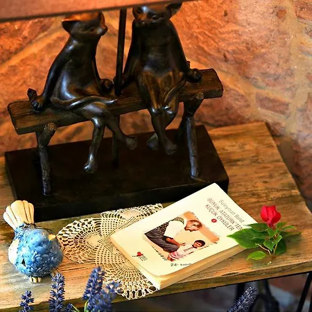 Fikretbey Konagi 5* Ayvalı