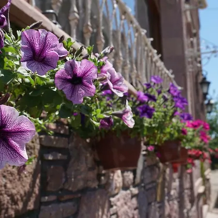 Szálloda Fikretbey Konagi 5*